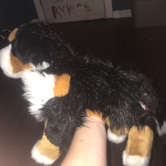 Idk what type of dog this is I forgot but uhm it is a stuffed animal with boxers - Picture 2 of 9